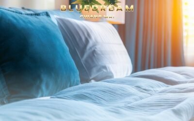 Most cost effective hostels in Chiang Mai