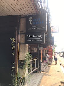 Blue Dream Cannabis Hotel & Dispensary place picture